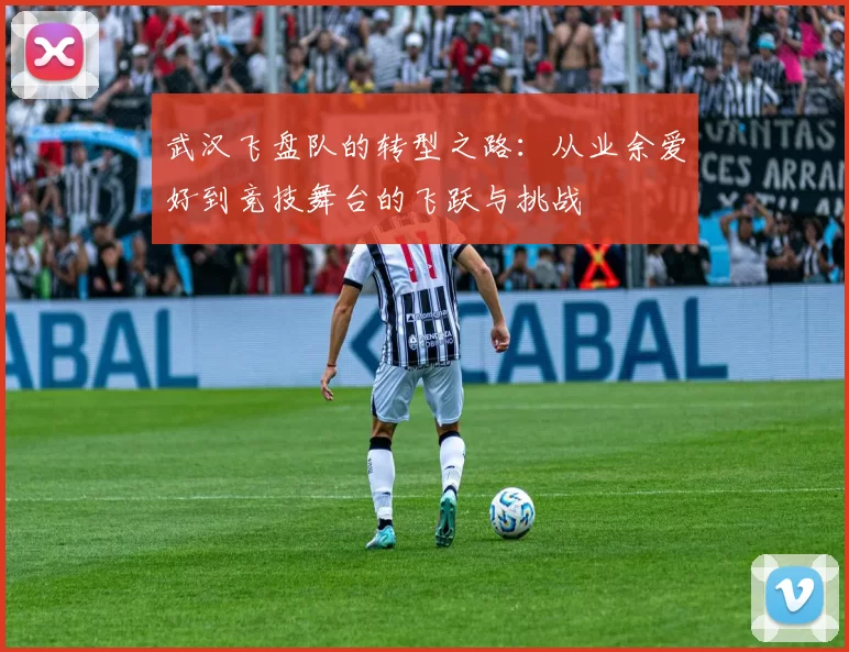 武汉飞盘队的转型之路:从业余爱好到竞技舞台的飞跃与挑战