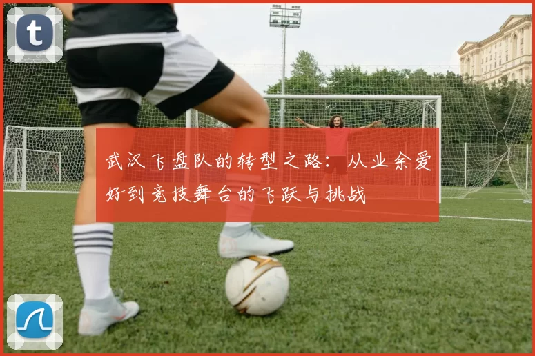 武汉飞盘队的转型之路:从业余爱好到竞技舞台的飞跃与挑战