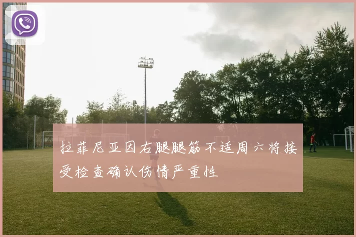 拉菲尼亚因右腿腿筋不适周六将接受检查确认伤情严重性
