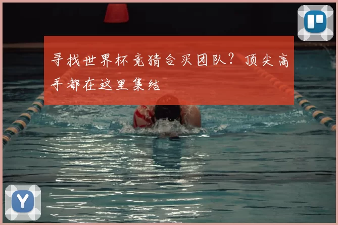 寻找世界杯竞猜合买团队？顶尖高手都在这里集结