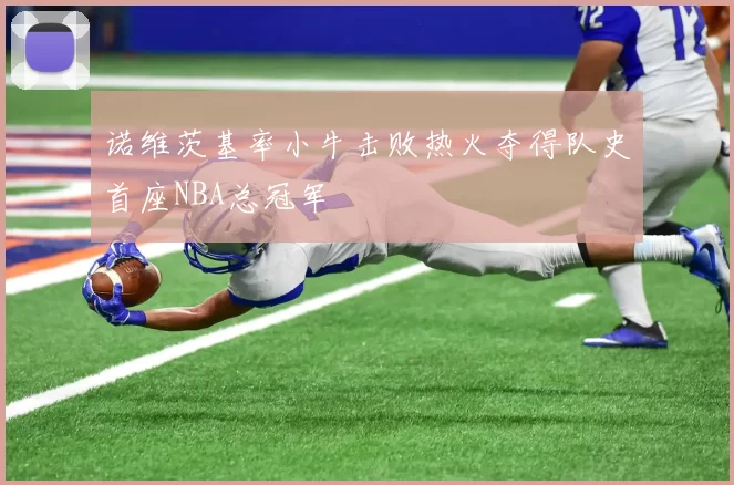 诺维茨基率小牛击败热火夺得队史首座NBA总冠军