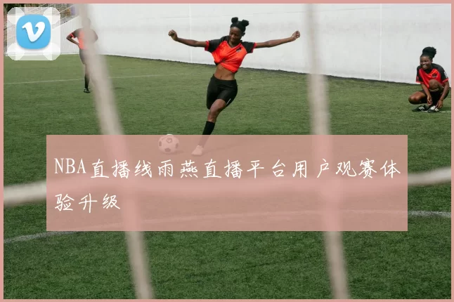 NBA直播线雨燕直播平台用户观赛体验升级