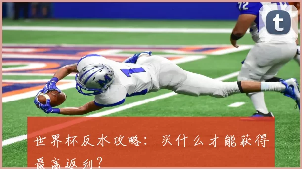 世界杯反水攻略:买什么才能获得最高返利?