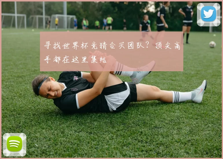 寻找世界杯竞猜合买团队？顶尖高手都在这里集结