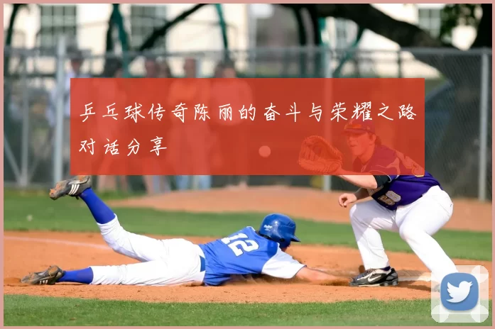 乒乓球传奇陈丽的奋斗与荣耀之路对话分享