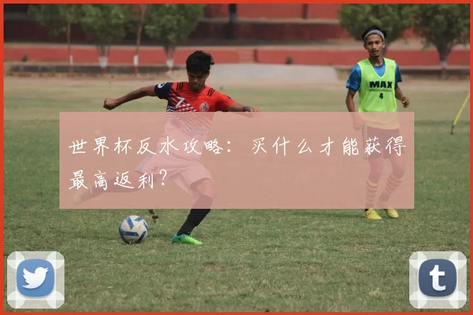 世界杯反水攻略:买什么才能获得最高返利?
