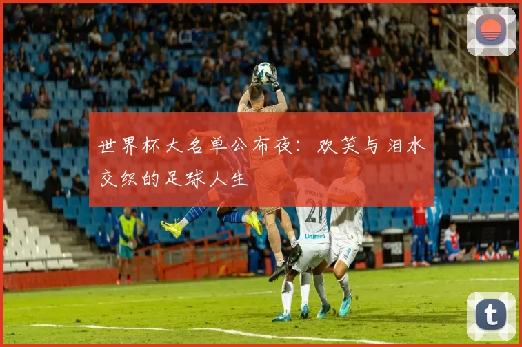 世界杯大名单公布夜：欢笑与泪水交织的足球人生