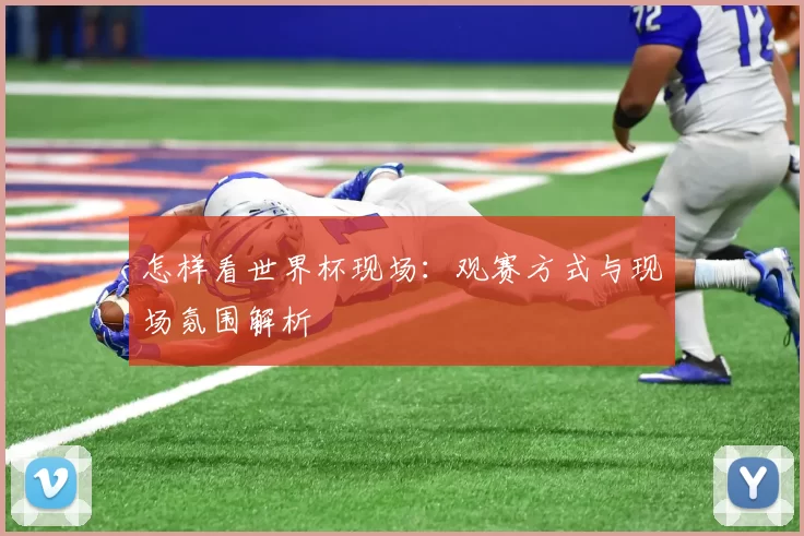怎样看世界杯现场：观赛方式与现场氛围解析