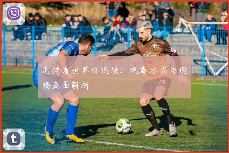怎样看世界杯现场：观赛方式与现场氛围解析