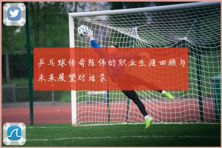 乒乓球传奇陈伟的职业生涯回顾与未来展望对话录