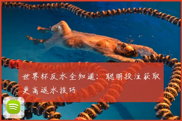 世界杯反水全知道:聪明投注获取更高返水技巧