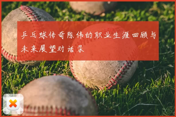 乒乓球传奇陈伟的职业生涯回顾与未来展望对话录